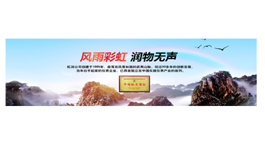 不經(jīng)風(fēng)雨何以見彩虹——在虹潤圓夢助學(xué)行動座談會上的講話